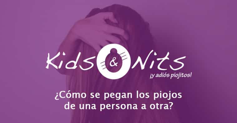 Como se pegan los piojos de una persona a otra