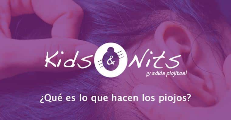que es lo que hacen los piojos